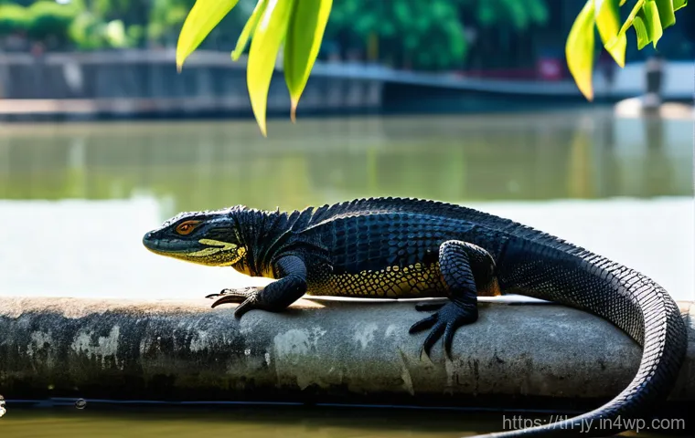 도시 야생동물 보호를 위한 법적 제도 - **Prompt:** A large, majestic Asian water monitor (ตัวเงินตัวทอง) basking peacefully on a sun-drench...