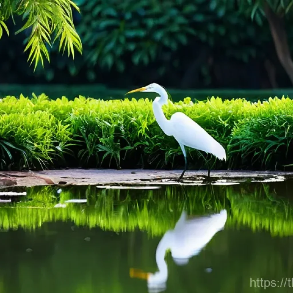 도시 공원에서 야생동물 관찰하기 - **Prompt 1: Urban Egret in Morning Light**
"A majestic, large white egret (นกกระยางขาว) standing...