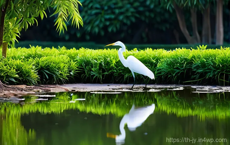 도시 공원에서 야생동물 관찰하기 - **Prompt 1: Urban Egret in Morning Light**
"A majestic, large white egret (นกกระยางขาว) standing...